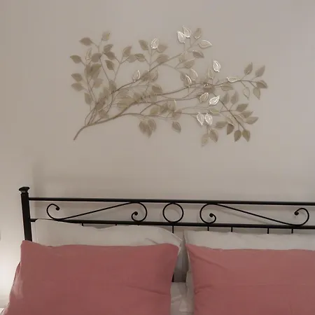 La Luce Di Chiara Assisi